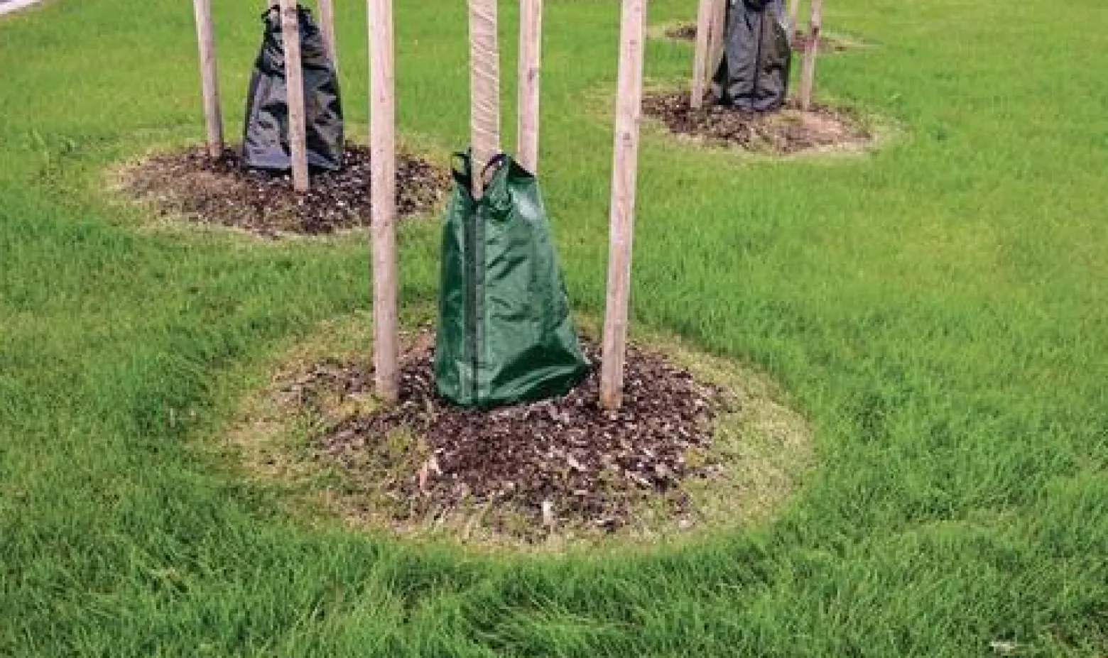 Baumbewässerungssack 55l TECTOR