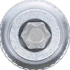 BGS Bit-Einsatz Antrieb Innenvierkant 10 mm (3/8") T-Profil (für Torx) T40 - 2546