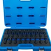 BGS Kraft-Bit-Einsatz-Satz 27tlg. - 5484
