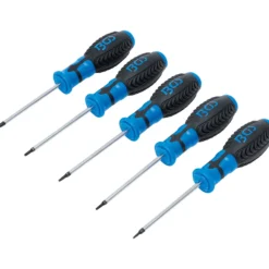 BGS Schraubendreher-Satz T-Profil (für Torx) mit Bohrung T6 - T10 5tlg. - 6826