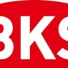 BKS ZT-Einsteckschl.0515 PZ 20/ 55/72/8mm DIN R silber ktg.Kl 3 Zinkdruckgruss - B-05150-08-R-1