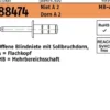 Blindniete R 88474 FLAKO 6,4x 13 Niet A 2/Dorn A 2 250 Stück