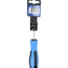 BRILLIANT TOOLS Schraubendreher TORX T20 x 100 mm - BT031013