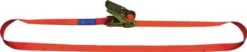 Dolezych Zurrgurt DIN EN 12195-2 Länge 2 m Breite 25 mm - 42250214