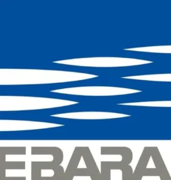 Ebara Tauchpumpe Optima MS 9000 l/h - 1752104600
