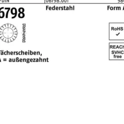 Fächerscheibe DIN 6798 FormA außengezahnt A 23 Federstahl 100 Stück