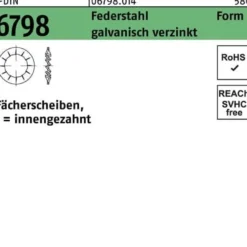 Fächerscheibe DIN 6798 FormI innengezahnt I 21 Federstahl galv.verz. 100St.