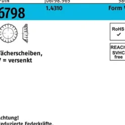 Fächerscheibe DIN 6798 FormV versenkt V 4,3 1.4310 1000 Stück