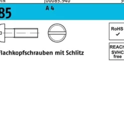 Flachkopfschraube DIN 85/ISO 1580 Schlitz M2x 6 A 4 1000 Stück