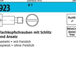 Flachkopfschraube DIN 923 Schlitz/Ansatz M5x 8x 7,0 A 1 100 Stück