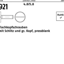 Flachkopfschraube DIN 921 Schlitz M3x 4 4.8/5.8 100 Stück