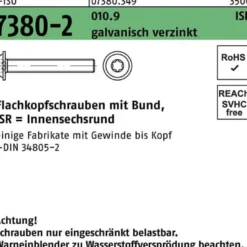 Flachkopfschraube ISO 7380-2 Bund/ISR M8x30-T40 10.9 galv.verz. 200St.