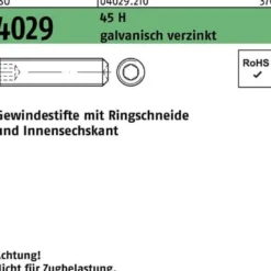 Gewindestift ISO 4029 Ringschneide/Innen-6kt M6x16 45 H galv.verz. 500St.
