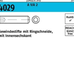 Gewindestift ISO 4029 Ringschneide/Innen-6kt M10x 50 A 2 50 Stück