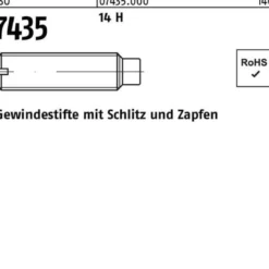 Gewindestift ISO 7435 Schlitz/Zapfen M8x 10 14 H 100 Stück