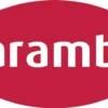 Hochl.Bohr-/Schneidölschaum 500 ml Spraydose CARAMBA