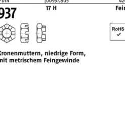 Kronenmutter DIN 937 niedrige Form M 39 x 3 17 H m.Feingewinde 5 Stück