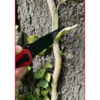 KS TOOLS Klappmesser mit Arretierung und Gurtschneider - 907.2220
