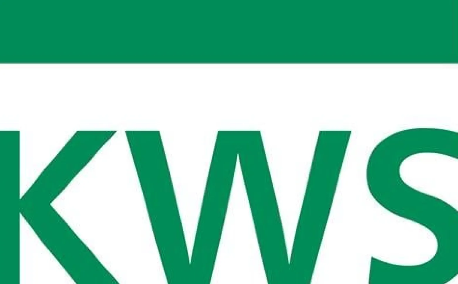 KWS Muschelgr.5254 VA feingedreht EL.-D.50mm - 525484