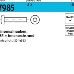 Linsenschraube DIN 7985 ISR M3x 20-T10 A 2 1000 Stück