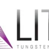 Litty Wolframelektrode WP Ø 1,6 mm Länge 175 mm - 10016175