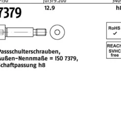 Paßschulterschraube ISO 7379 8 - M6x 20 12.9 Schaftpassung h8 50 Stück