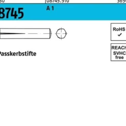 Passkerbstift ISO 8745 6x 30 A 1 100 Stück