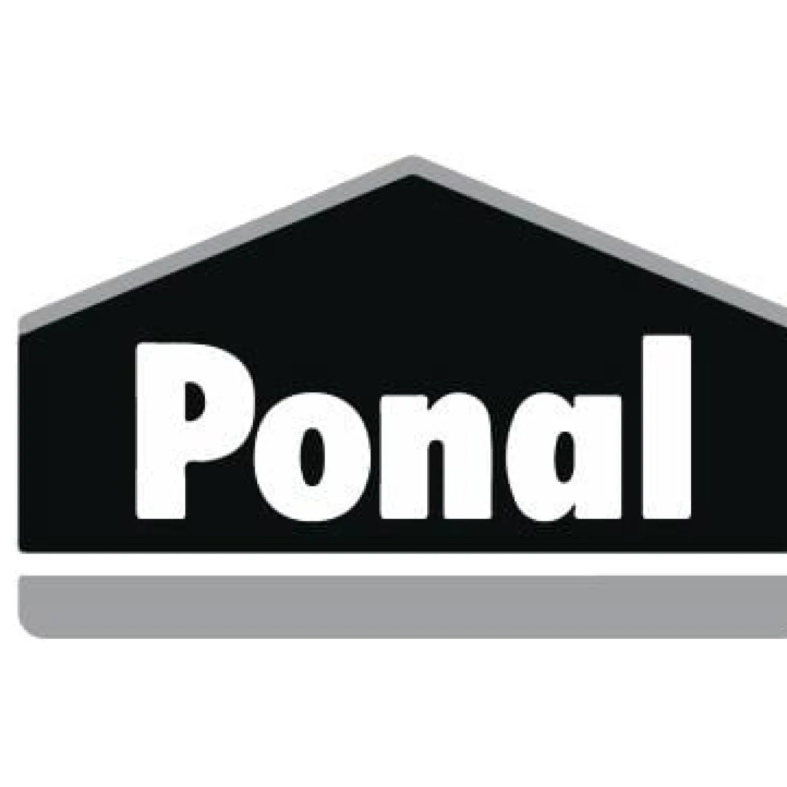 Ponal Express Holzleim 60g 9H PN12X