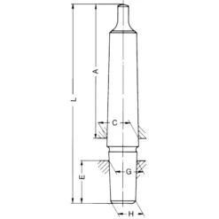 Röhm Kegeldorne mit Bohrfutterkegel DIN 238, MK 1, Aufnahme B12 - 014898