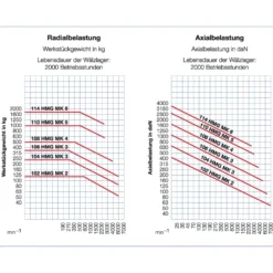 Röhm Mitlaufende Zentrierspitzen 60°, MK5, Größe 110, mit Abdrückmutter und HM-Einsatz - 221025