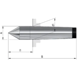 Röhm Zentrierspitze Typ 665 MK3 - 13711