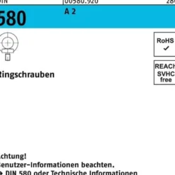 Ringschraube DIN 580 M24 A 2 1 Stück