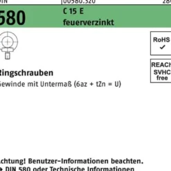 Ringschraube DIN 580 M12 C 15 E feuerverz. 10 Stück
