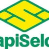 SAPISELCO 100x Kabelbinder Länge 100 mm Breite 2,5 mm schwarz - SEL.3.202