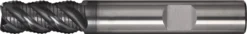 Schaftfräser DIN 6527L Typ HR D.12mm Einsatz-L.38mm VHM TiAlN HB Z.4 lang TW