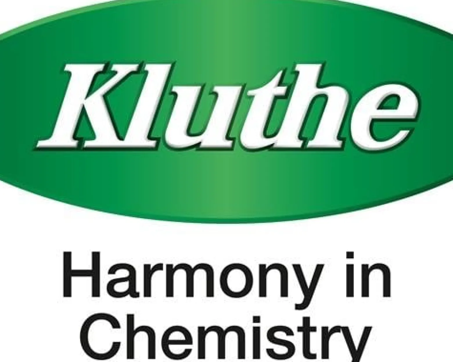 Schimmelvernichter chlorhaltig 500 ml Sprühflasche KLUTHE