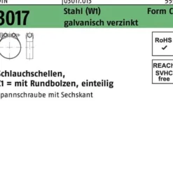 Schlauchschelle DIN 3017 W1 FormC1 162-174/30 Stahl galv.verz. 10Stück