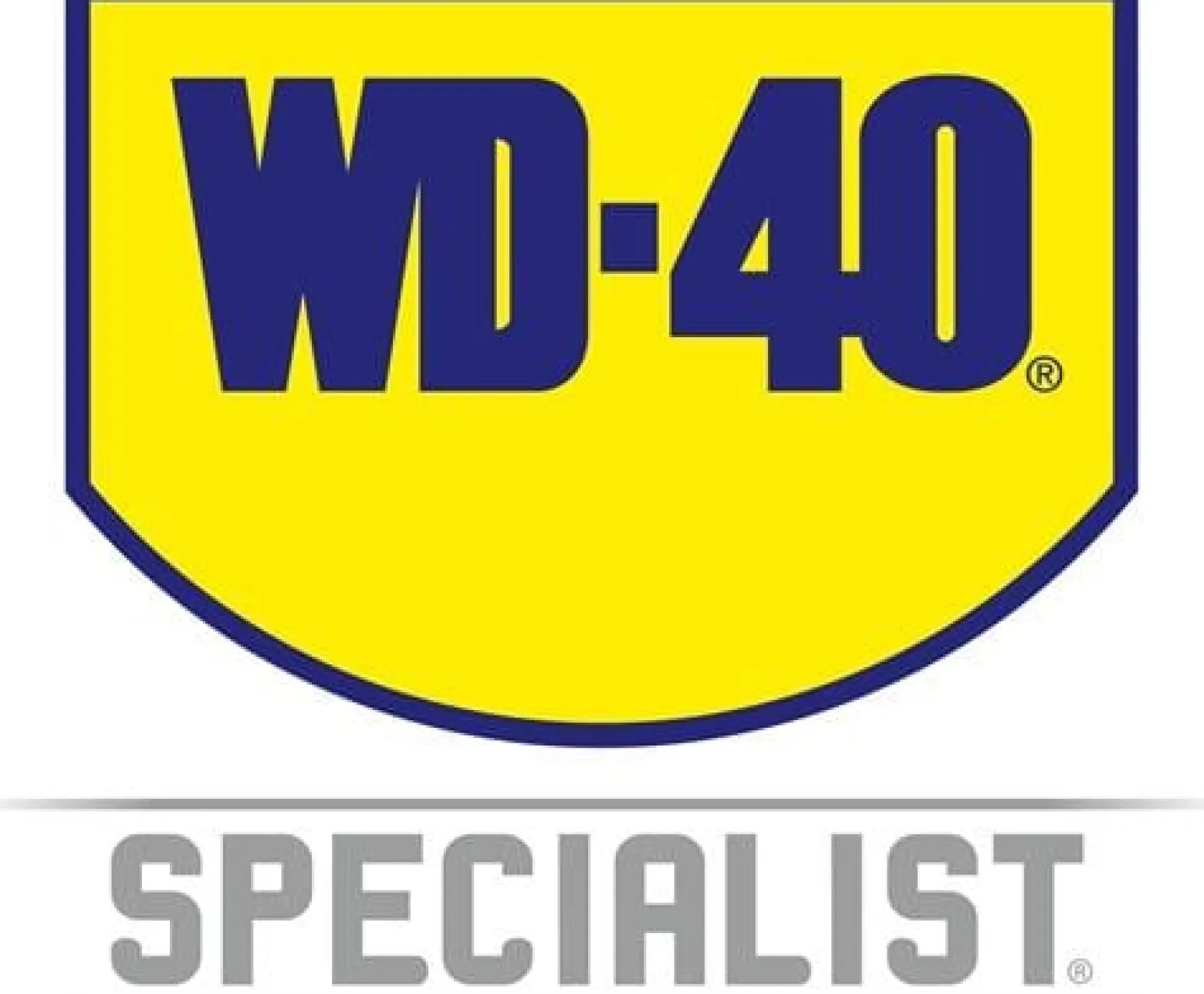 Schließzylinderspray 100ml Spraydose WD-40 SPECIALIST
