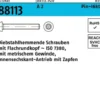 Schraube R 88113 diebstahlh. Innen-6kt Zapfen M5x 35 A 2 100 Stück