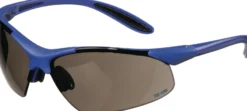 Schutzbrille DAYLIGHT PREMIUM EN 166 Bügel dunkelblau,Scheibe smoke PC TECWERK