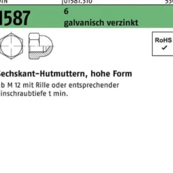 Sechskanthutmutter DIN 1587 M6 6 galv.verz. 100 Stück