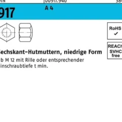 Sechskanthutmutter DIN 917 niedrige FormM10 SW 17 A 4 25 Stück
