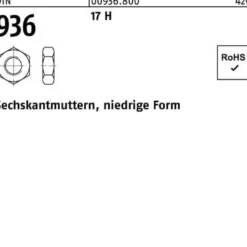 Sechskantmutter DIN 936 M36 17 H 10 Stück