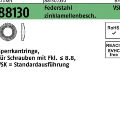Sperrkantring R 88130 VSK 24x40x4 Federstahl zinklamellenb. 50 Stück