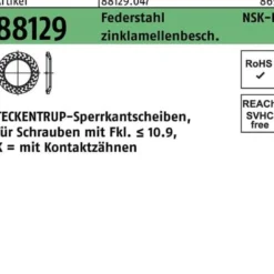 Sperrkantscheibe R 88129 NSK-K 10 Federstahl zinklamellenb. 1000St. TECKENTRUP
