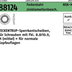 Sperrkantscheibe R 88124 NSK-M 10 Federstahl zinklamellenb. 1000St. TECKENTRUP