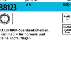 Sperrkantscheibe R 88123 NSK-S 6 A 4 1000 Stück TECKENTRUP