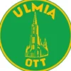 ULMIA Streichmaß Alu-Line 200mm L.220mm Alu - 0029A