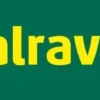 Walraven Unterlegscheibe flach ev 25x2,5 / Loch 8,4 - MLAR - für 38x40