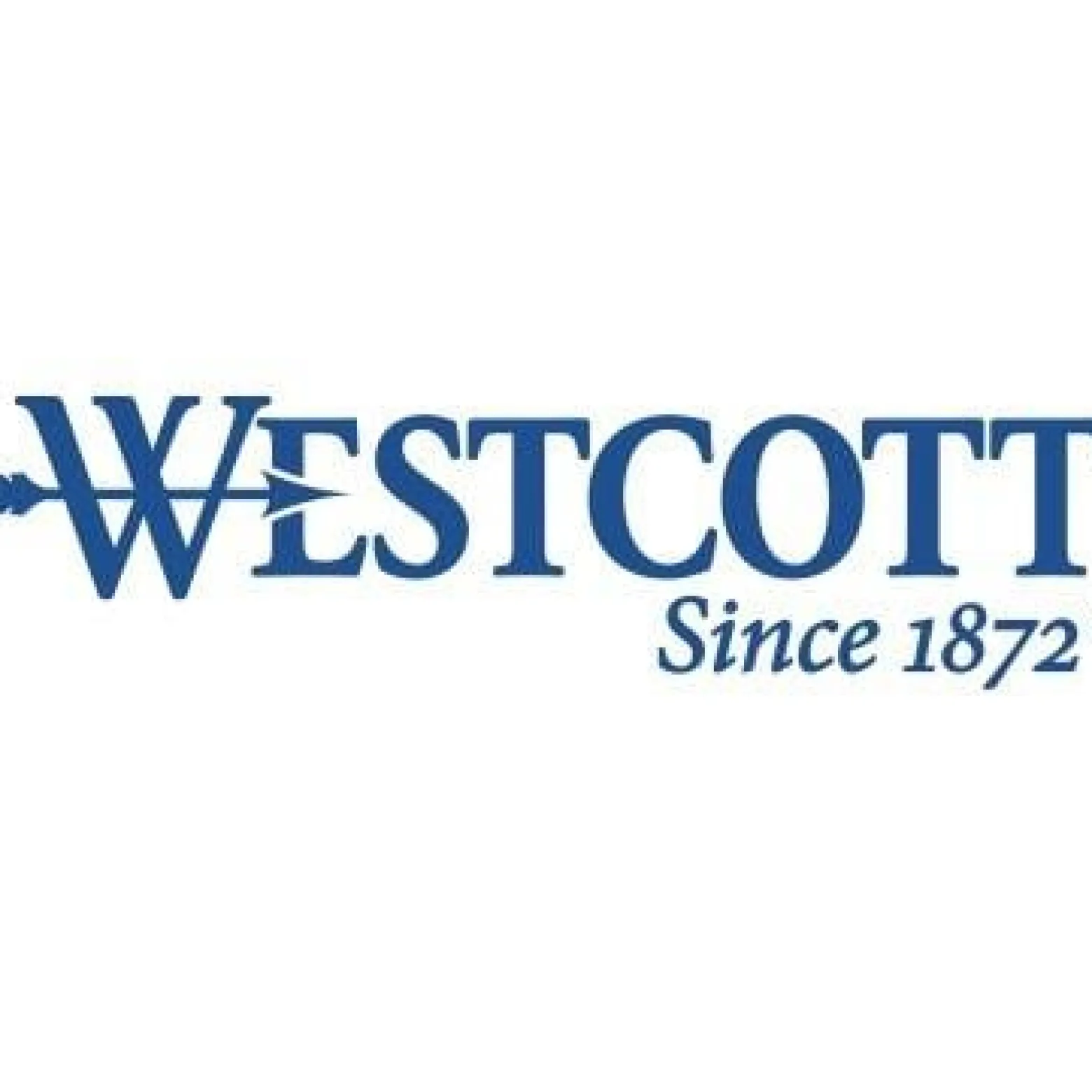 Westcott Schere Titanium Super E-30481 00 21cm grau/gelb